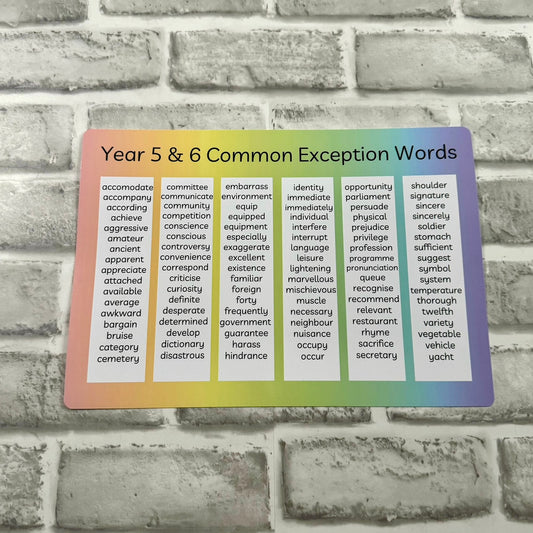 Year 5 & 6 Common Exception Words