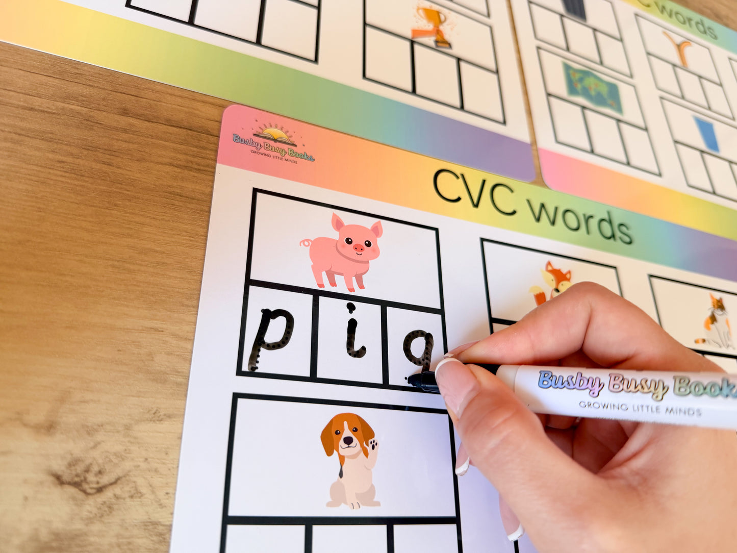 CVC words mat for phonics and early reading