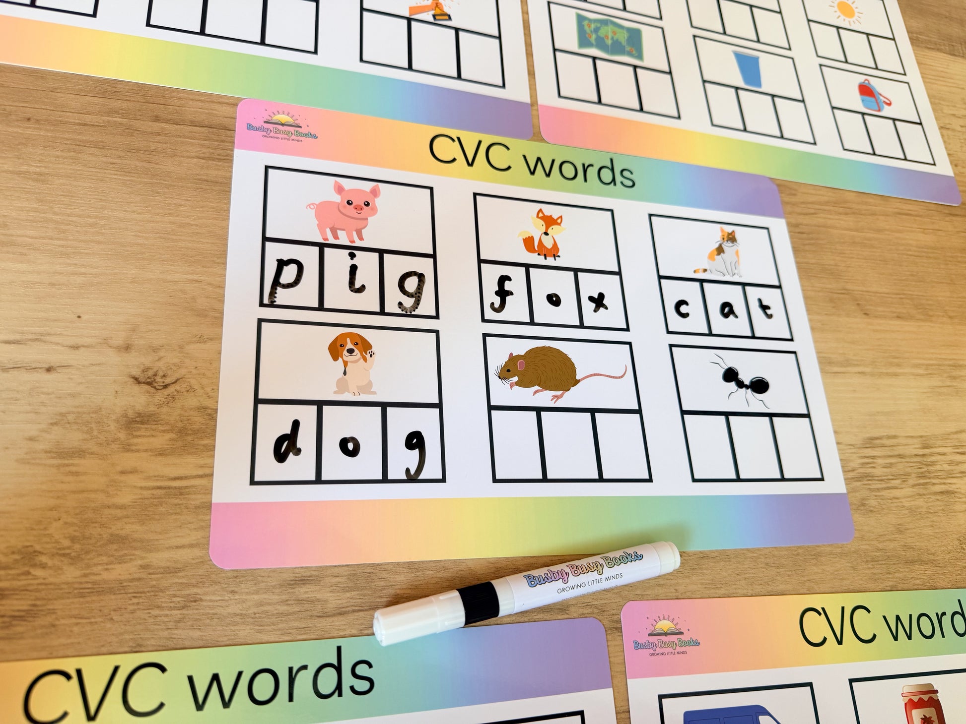 CVC words mat for phonics and early reading