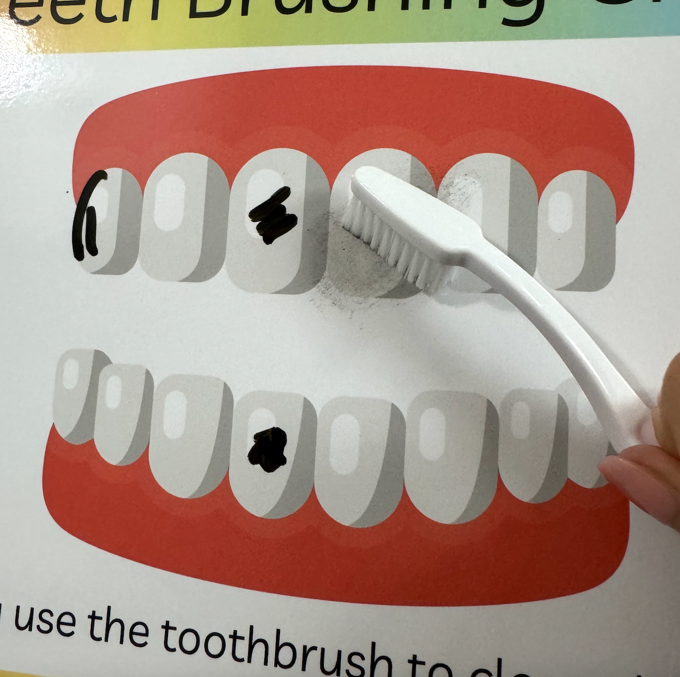 Teeth Brushing Reward Chart & Activity