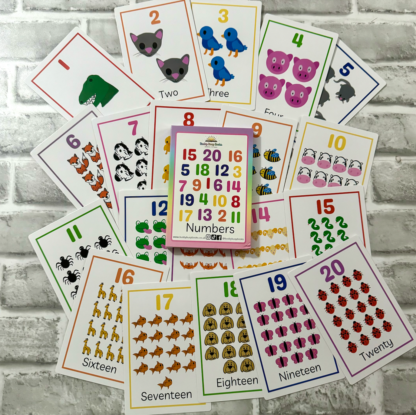 FLASHCARD BUNDLE